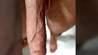 Gay Porn US